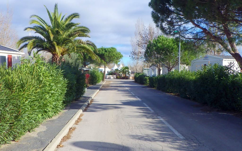 Allee pricipale