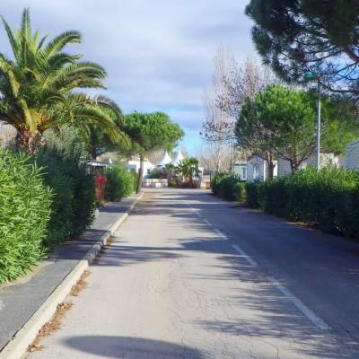 Allee pricipale